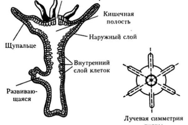 Рабочая omg